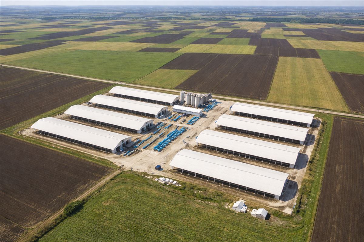 Çelik Besi Çiftliği ve Ahır İnşaatı